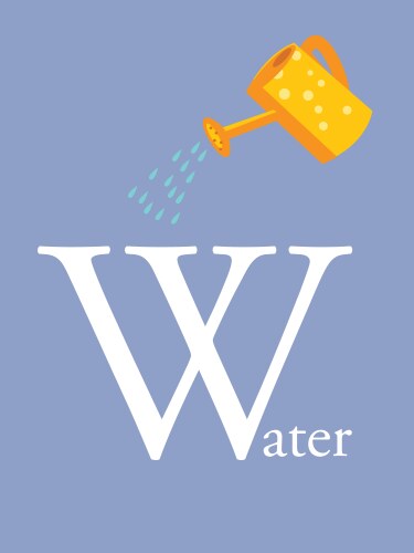 Colourful alphabet card Vector Image