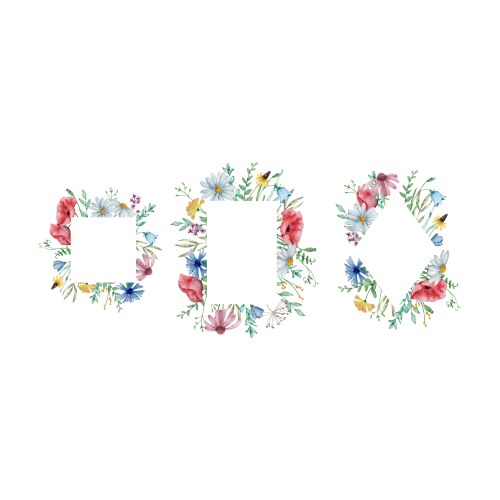 Watercolor frames set with wildflowers summer Vector Image