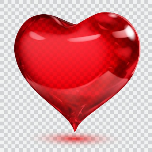 Red heart transparent background Royalty Free Vector Image