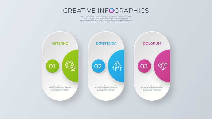 Contemporary minimalist infographic design vector image