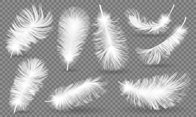 Realistic fluffy feathers falling twirled plumage Vector Image