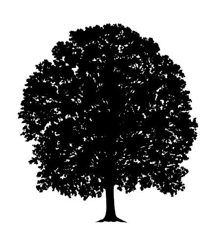 Old oak tree hand drawn engraved style Royalty Free Vector