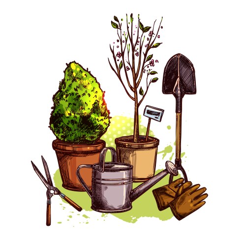 Spring garden tools Royalty Free Vector Image - VectorStock