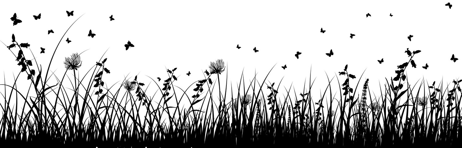 Grass silhouettes Royalty Free Vector Image - VectorStock
