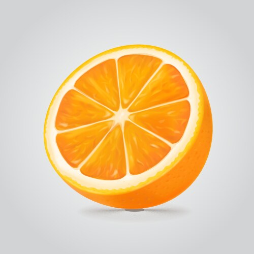 Photo-realistic orange slice Royalty Free Vector Image