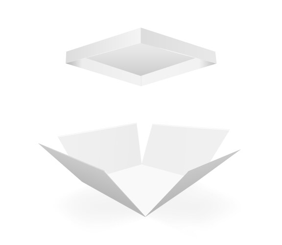 white empty box with an open lid on a vector image