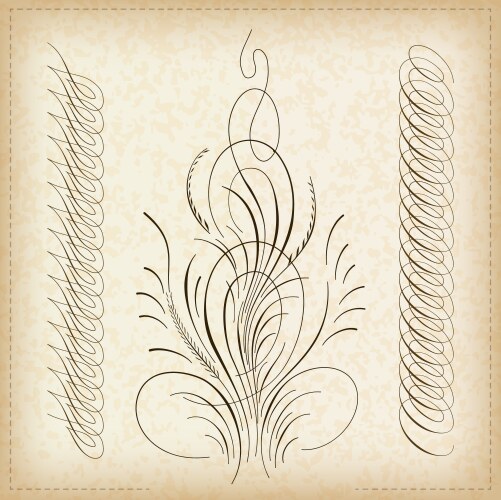 Calligraphy Border Write Decorative calligraphy border Royalty Free Vector Image
