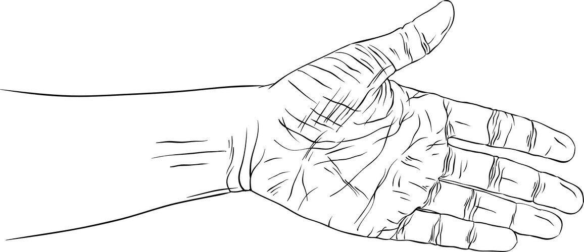Hand prepared for handshake detailed black Vector Image