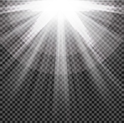 Lights shining on transparent background Vector Image