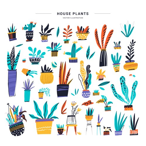 Hand-Drawn Houseplant Collection Vector Image