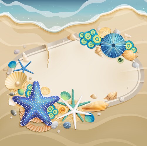 Shells and starfishes Royalty Free Vector Image