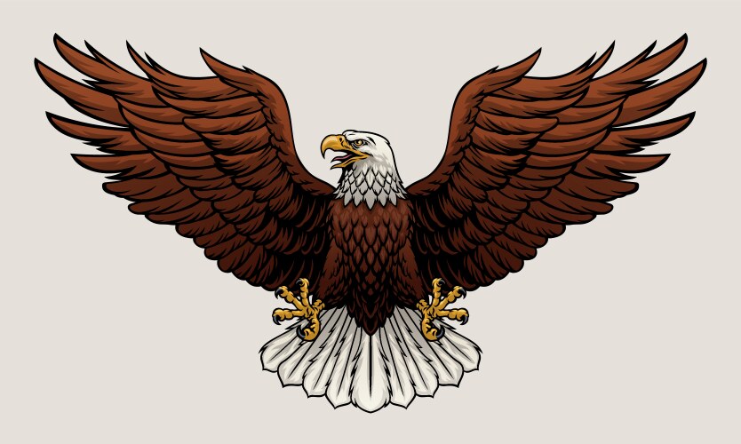 Eagle flying bald Royalty Free Vector Image - VectorStock