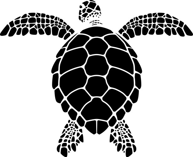 Turtle icon images Royalty Free Vector Image - VectorStock