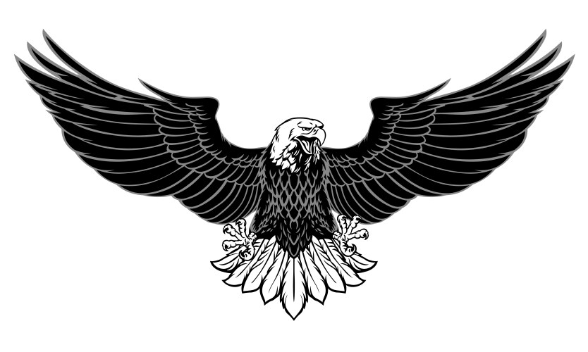 Eagle 011 Royalty Free Vector Image Vectorstock