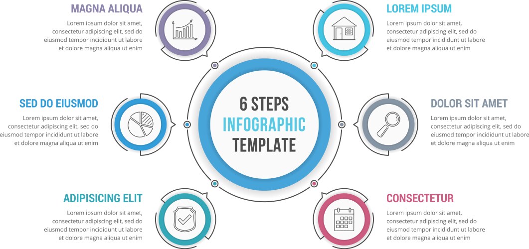 6 steps infographics vector