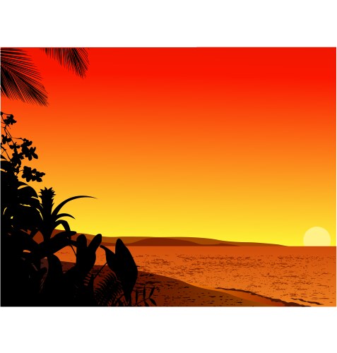 Beach sunset Royalty Free Vector Image - VectorStock