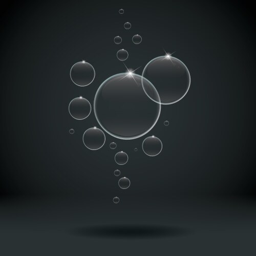 Bubbles isolated on white Royalty Free Vector Image