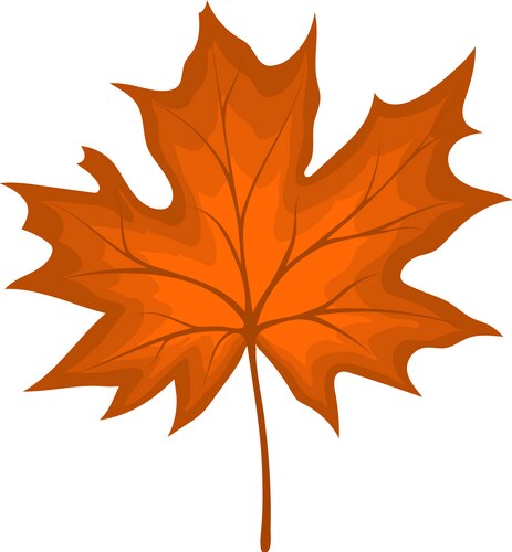 Autumn yellow maple leaf leaves Royalty Free Vector Image