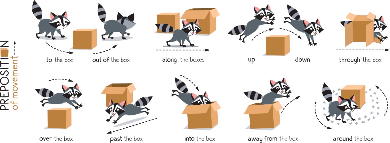 Preposition movement bird and box Royalty Free Vector Image