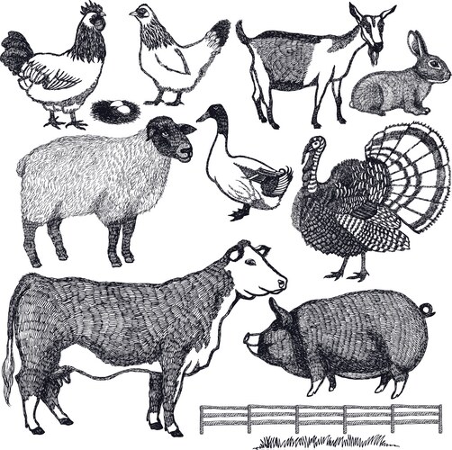 Farm Animals Hand Drawn Set Vector Image