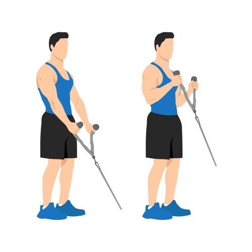 Woman doing dumbbell bicep hammer curls Royalty Free Vector