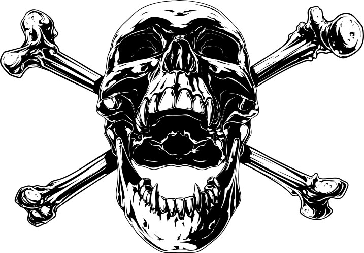 Realistic Human Skull with Crossed Bones Vector Image