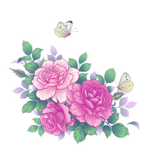 Pink Rose Flowers & Butterflies Vector Image