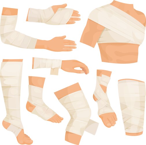 bandaged body parts vector