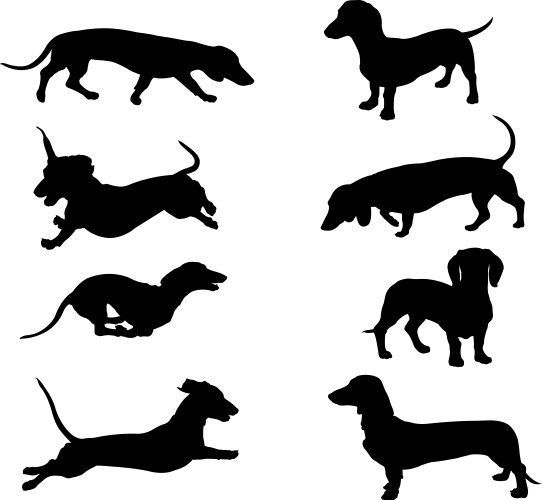 Dachshund Silhouettes Collection Vector Image