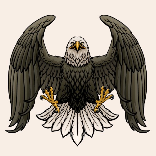 Eagle flying bald Royalty Free Vector Image - VectorStock