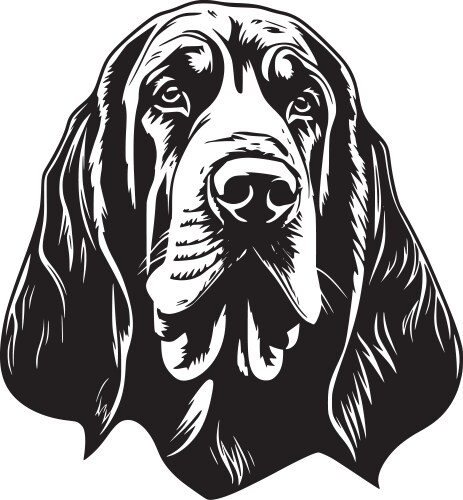 Bloodhound - black and white Vector Image