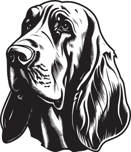 Bloodhound - minimalist and simple silhouette Vector Image