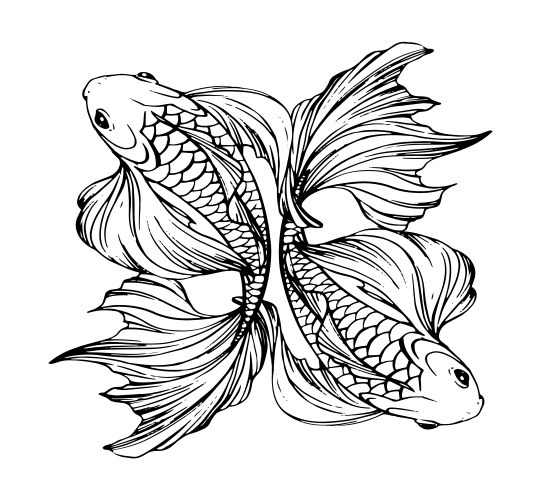 two beautiful magical fish with long fins vector