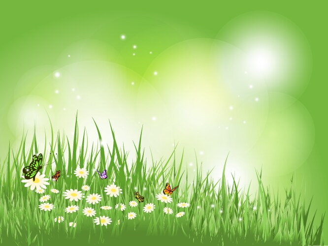 Pond Scene Royalty Free Vector Image Vectorstock