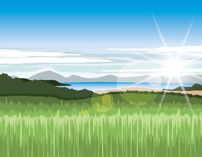 Forest landscape background Royalty Free Vector Image