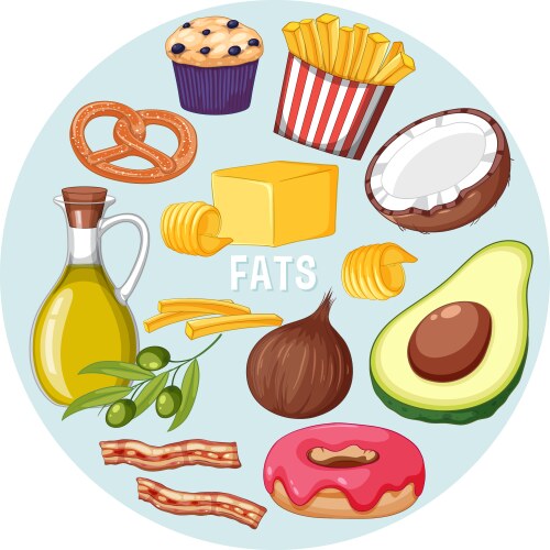 variety of fat foods vector image