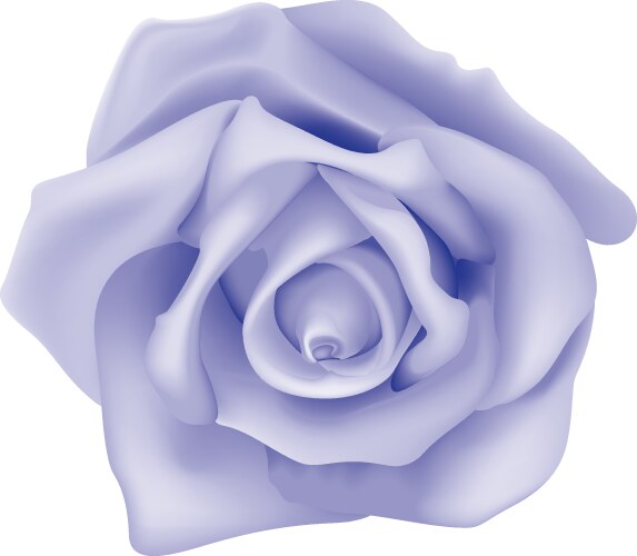 Rose 3d Vector Images (over 11,000)