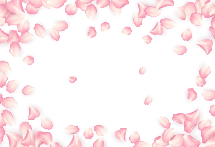 Falling red rose petals isolated on white vector image