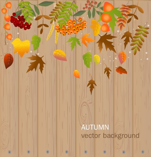 Autumn falling leaves with wood nature background Vector Image