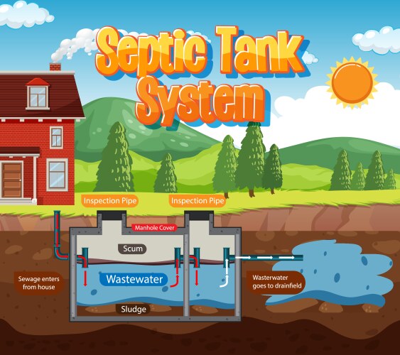 Septic tank system diagram vector image