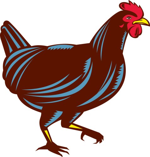 Chicken hen walking side woodcut vector image