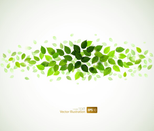 Green Leaves Royalty Free Vector Image Vectorstock Green Leaves Royalty Free Vector Image Vectorstock
