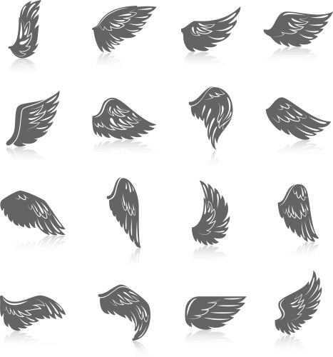Wing Vector Images (over 440,000)