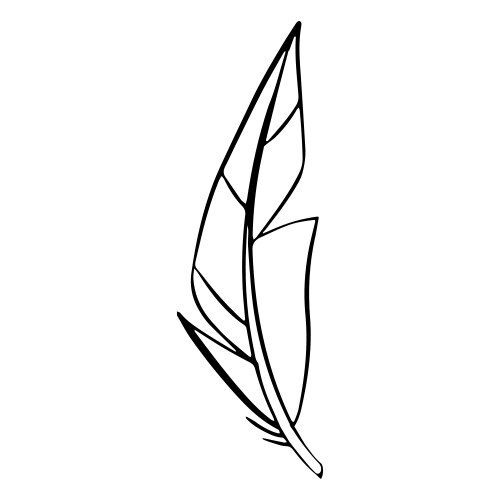 Boho feather Royalty Free Vector Image - VectorStock