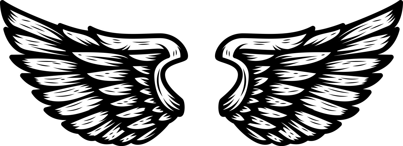 Set of wings isolated on white background design Vector Image