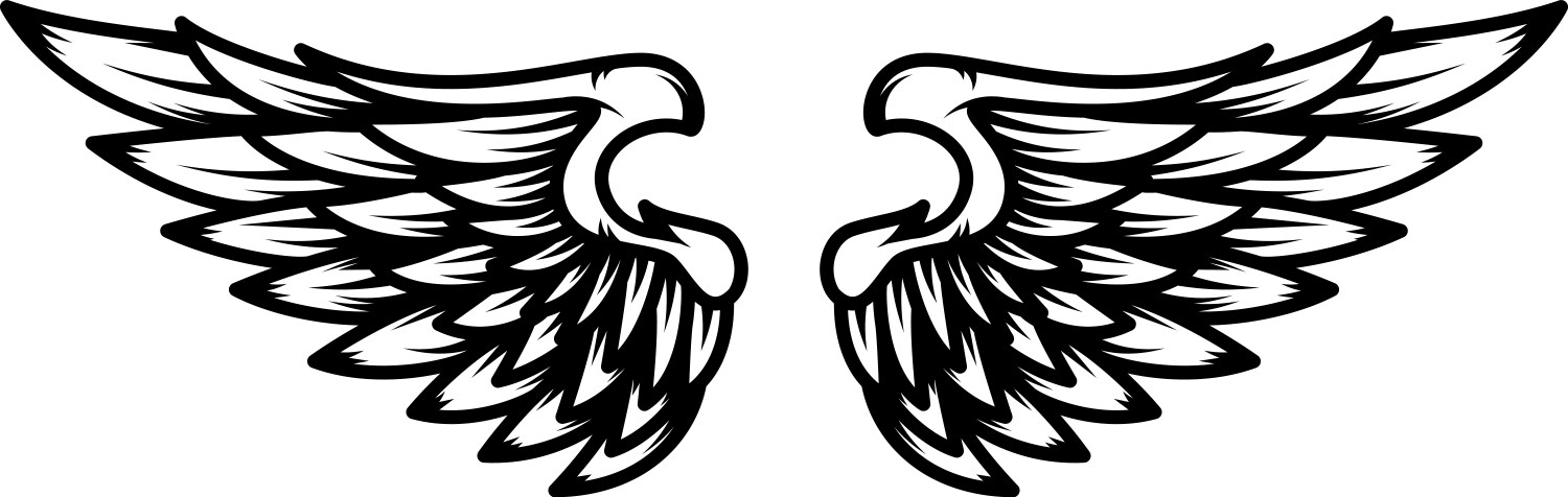 Set of wings isolated on white background design Vector Image