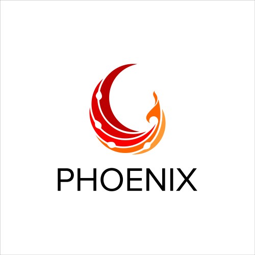 flying phoenix logo vibrant orange color vector