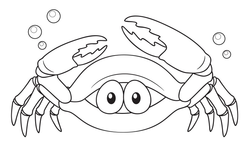 crab vector image vector image