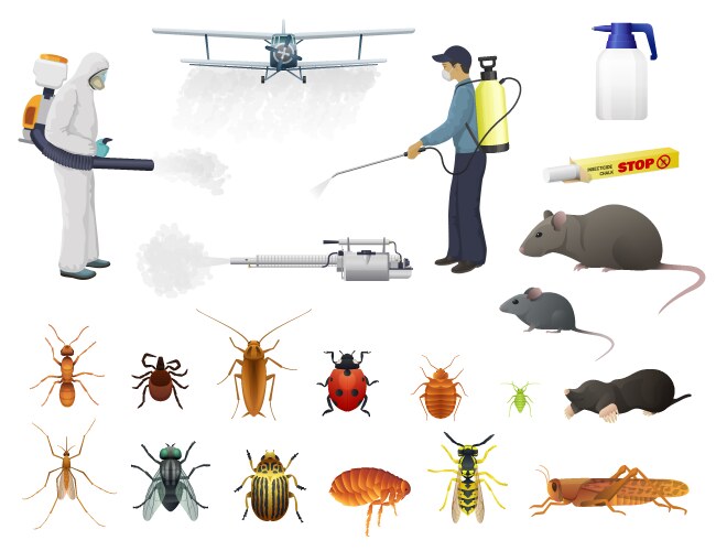 disinfection pest control insects extermination vector image