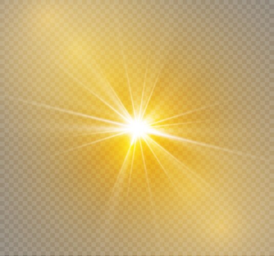 Sun light ray on transparent background beams Vector Image